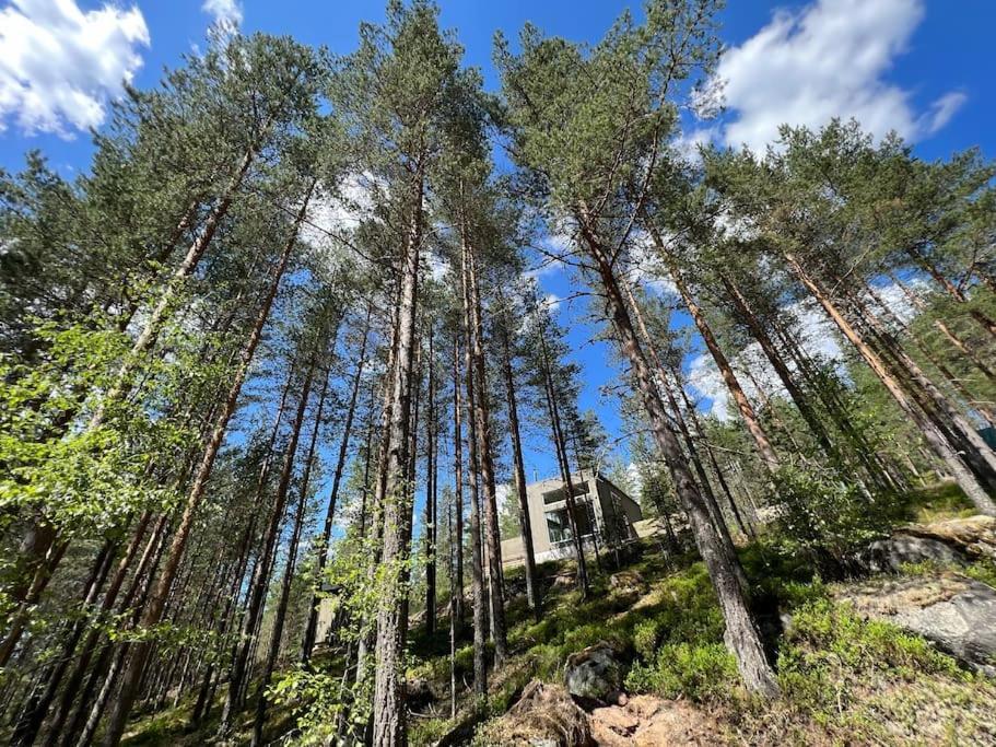 Tretoppen - Ny Moderne Hytte, Unike Finnskogen Torsby Luaran gambar