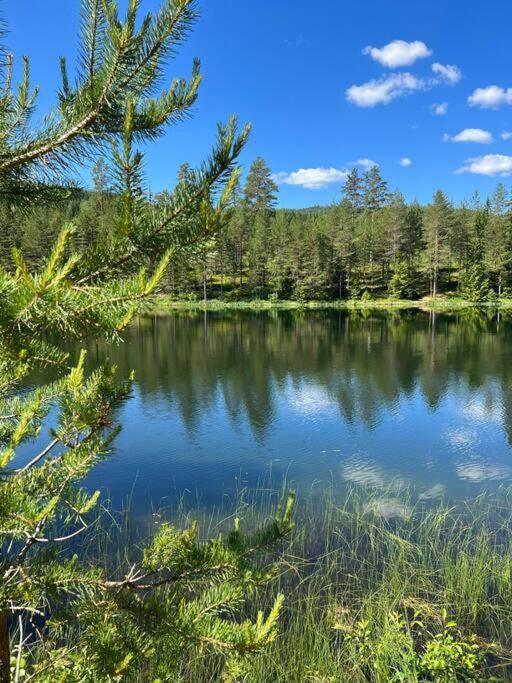 Tretoppen - Ny Moderne Hytte, Unike Finnskogen Torsby Luaran gambar