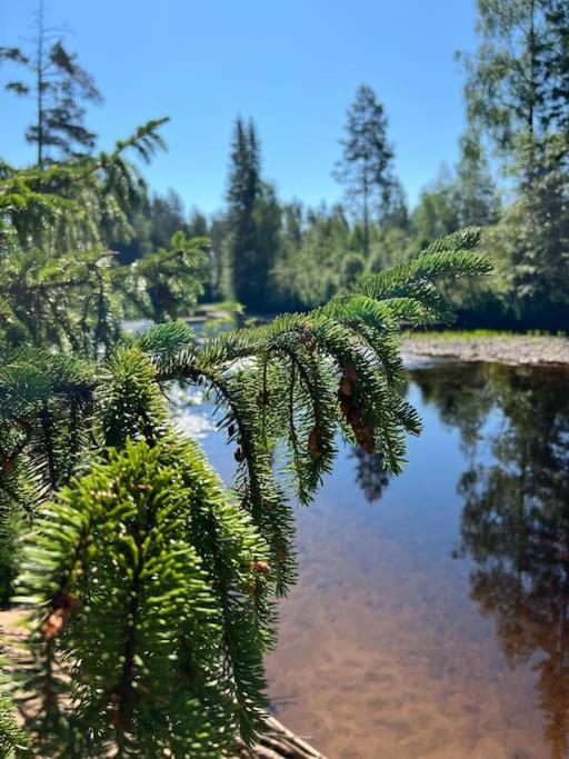 Tretoppen - Ny Moderne Hytte, Unike Finnskogen Torsby Luaran gambar