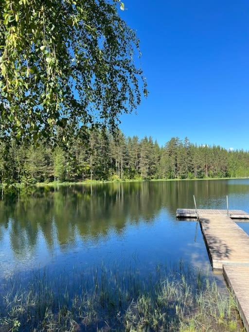 Tretoppen - Ny Moderne Hytte, Unike Finnskogen Torsby Luaran gambar