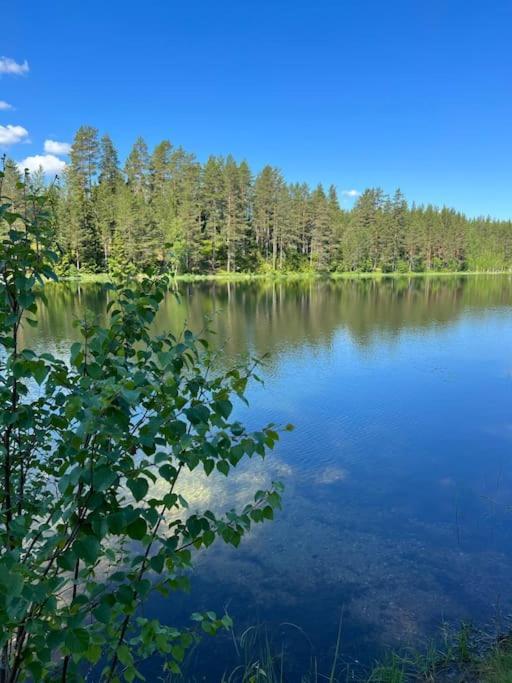 Tretoppen - Ny Moderne Hytte, Unike Finnskogen Torsby Luaran gambar